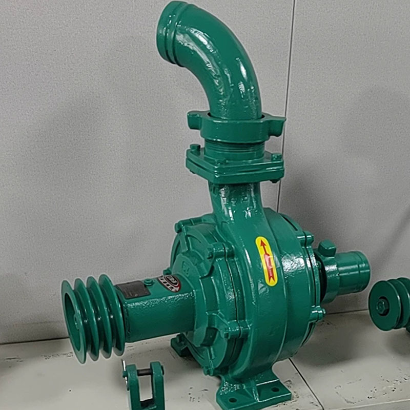 Double Impeller Centrifugal Wa - đánh giá và giá Diesel Water Pump