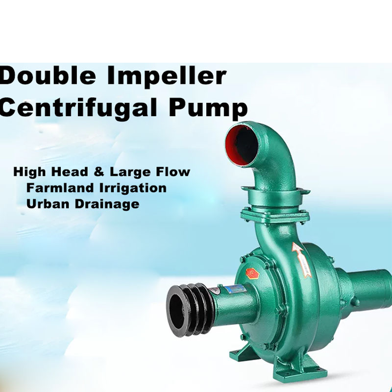 Double Impeller Centrifugal Wa - đánh giá và giá Diesel Water Pump