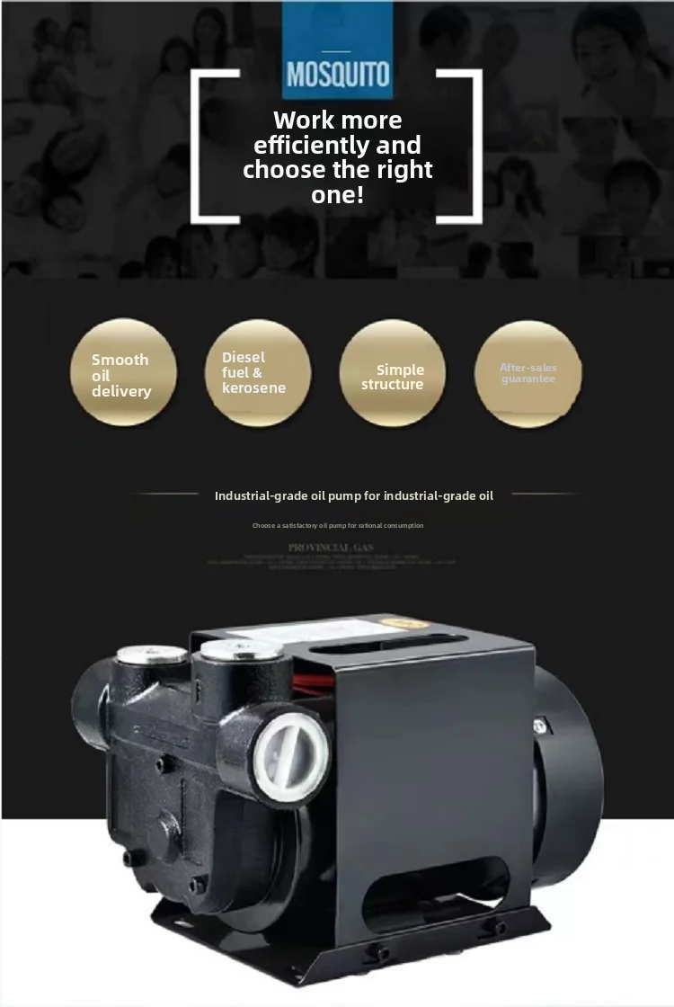 New Electric Oil Pump 12V Dies - đánh giá và giá Diesel Water Pump